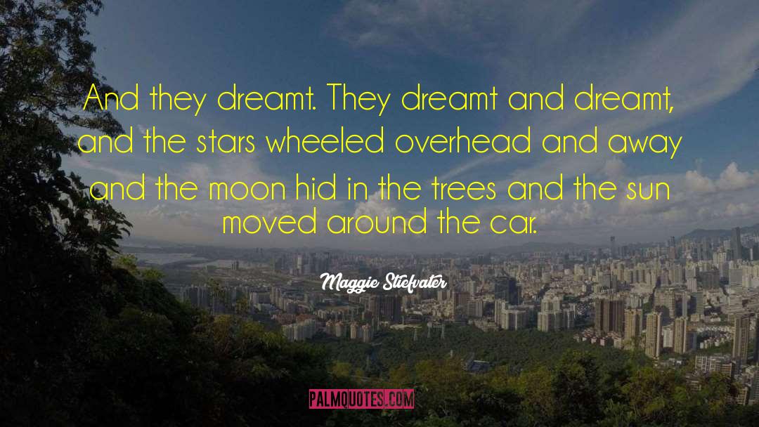 Stars Stripes quotes by Maggie Stiefvater