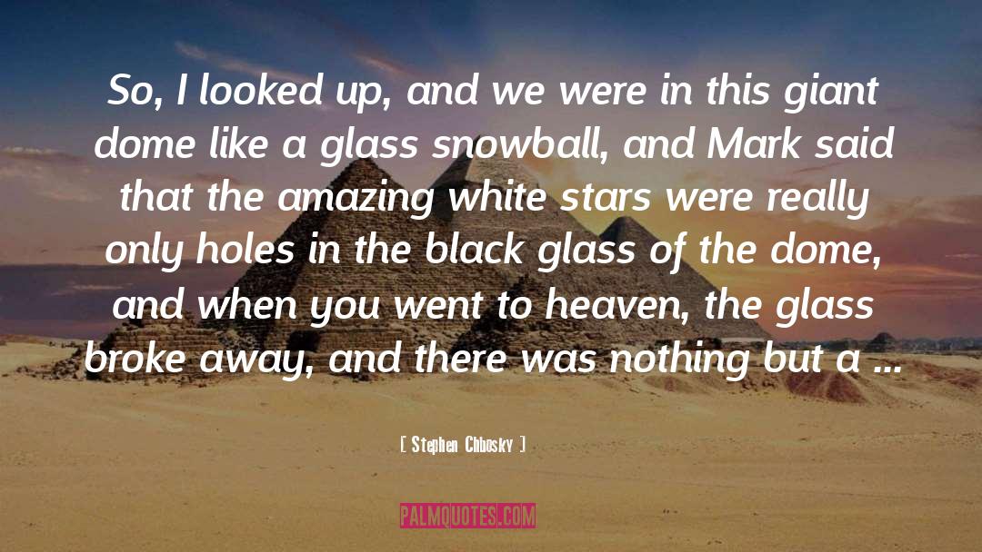 Stars White quotes by Stephen Chbosky