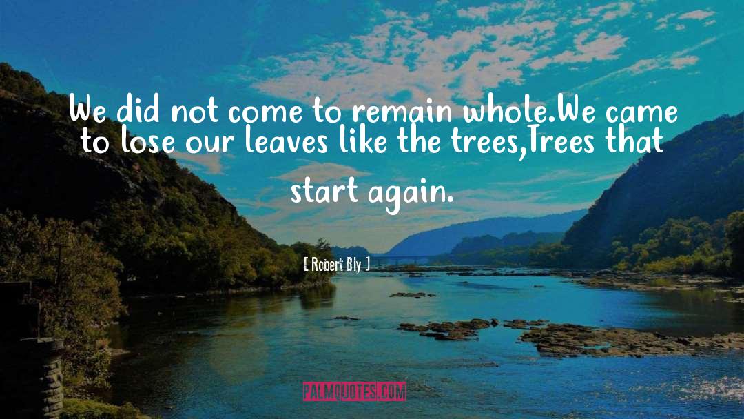 Start Again quotes by Robert Bly