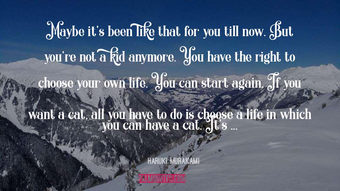 Start Again quotes by Haruki Murakami