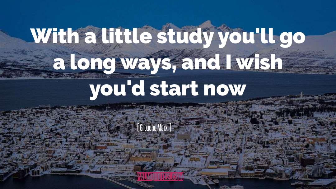 Start Now quotes by Groucho Marx
