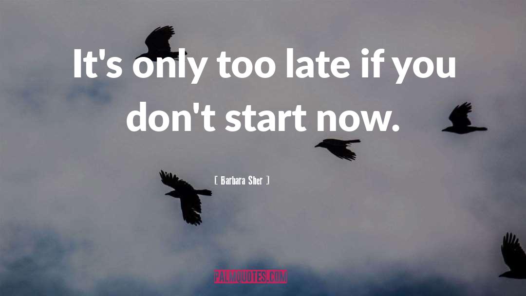 Start Now quotes by Barbara Sher