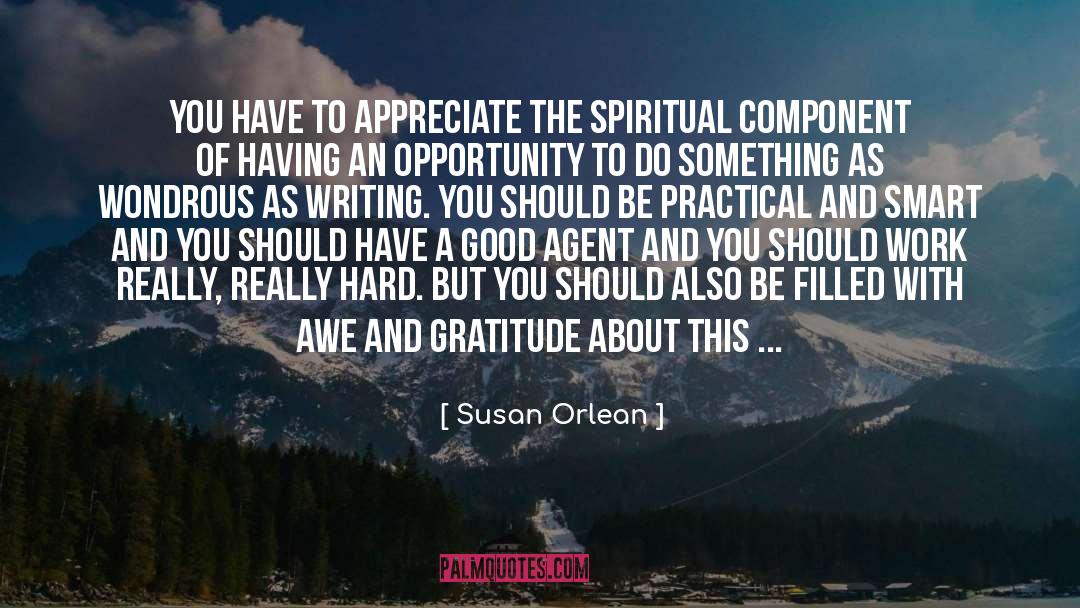 Start Of Something Amazing quotes by Susan Orlean