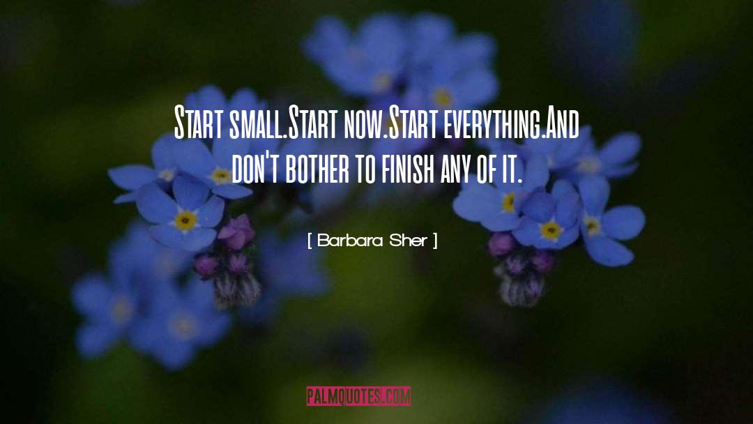 Start Small quotes by Barbara Sher