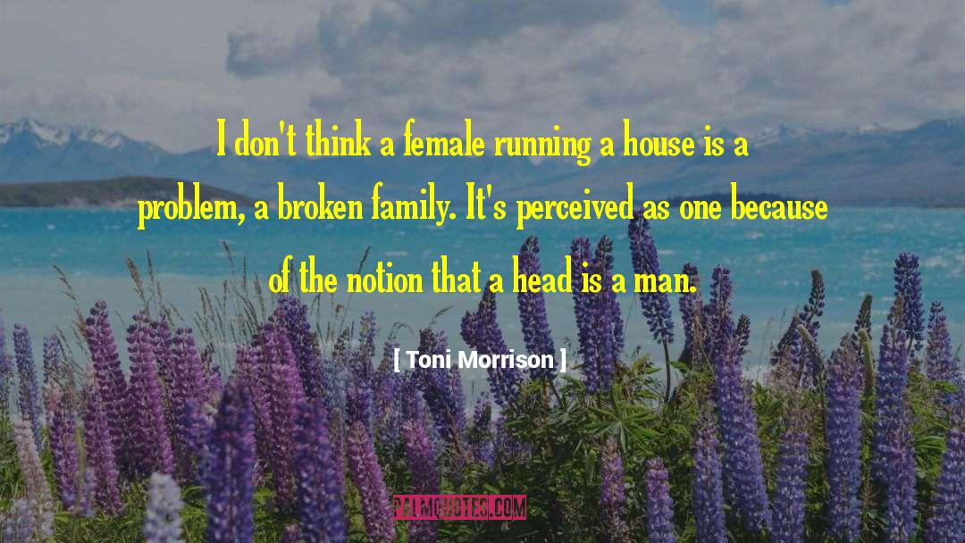 Starting A Family quotes by Toni Morrison