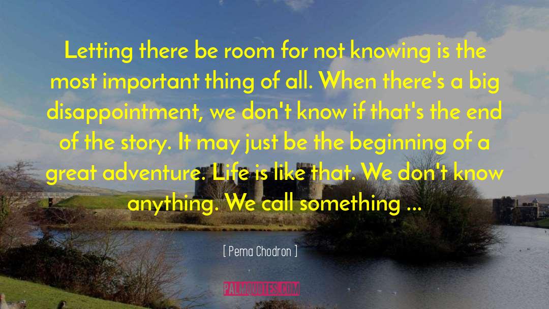 Starting A New Beginning quotes by Pema Chodron