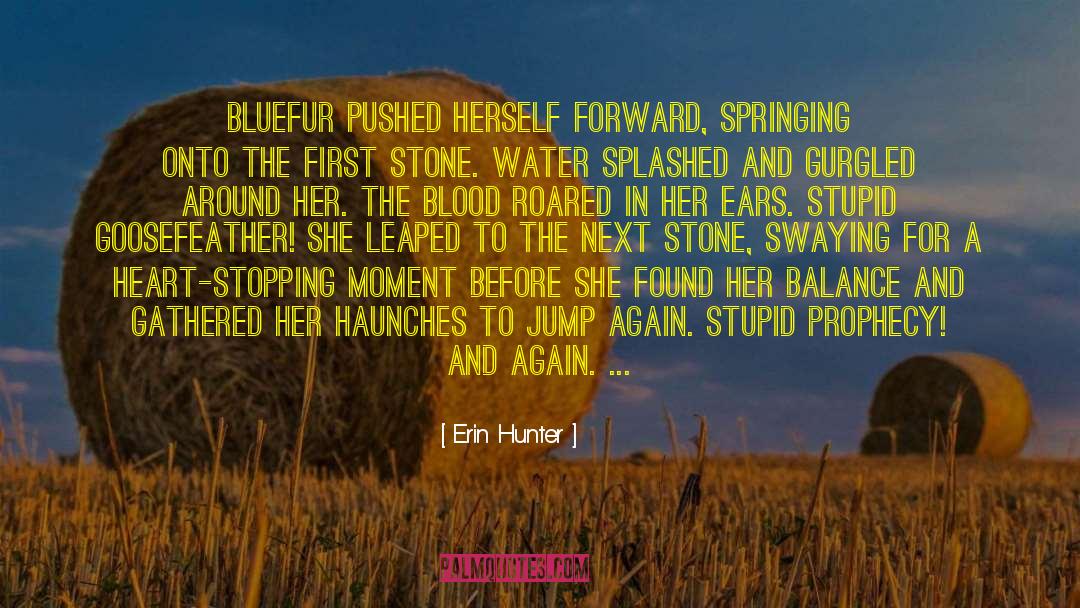 Starting Again quotes by Erin Hunter