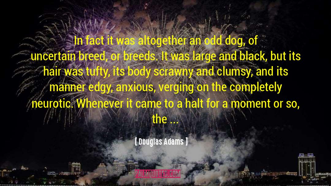 Starting Up quotes by Douglas Adams