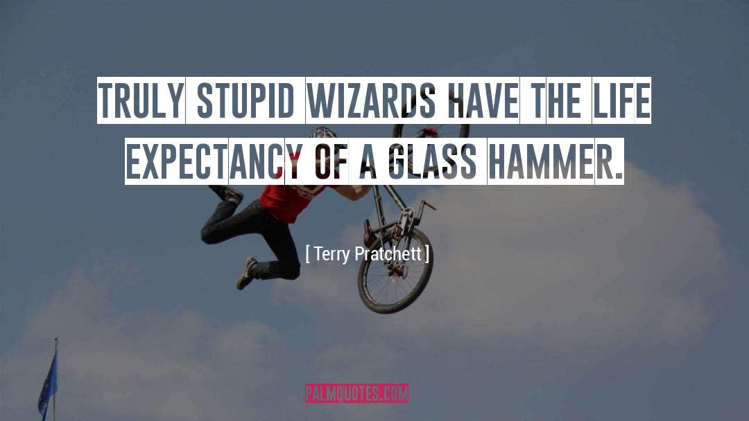 Startling Wizards quotes by Terry Pratchett
