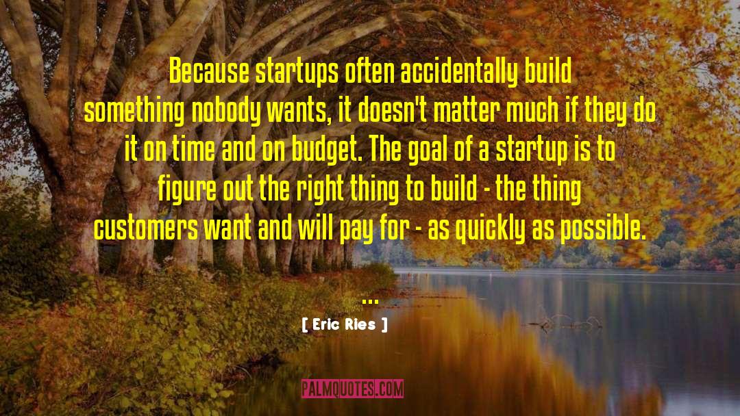 Startup quotes by Eric Ries