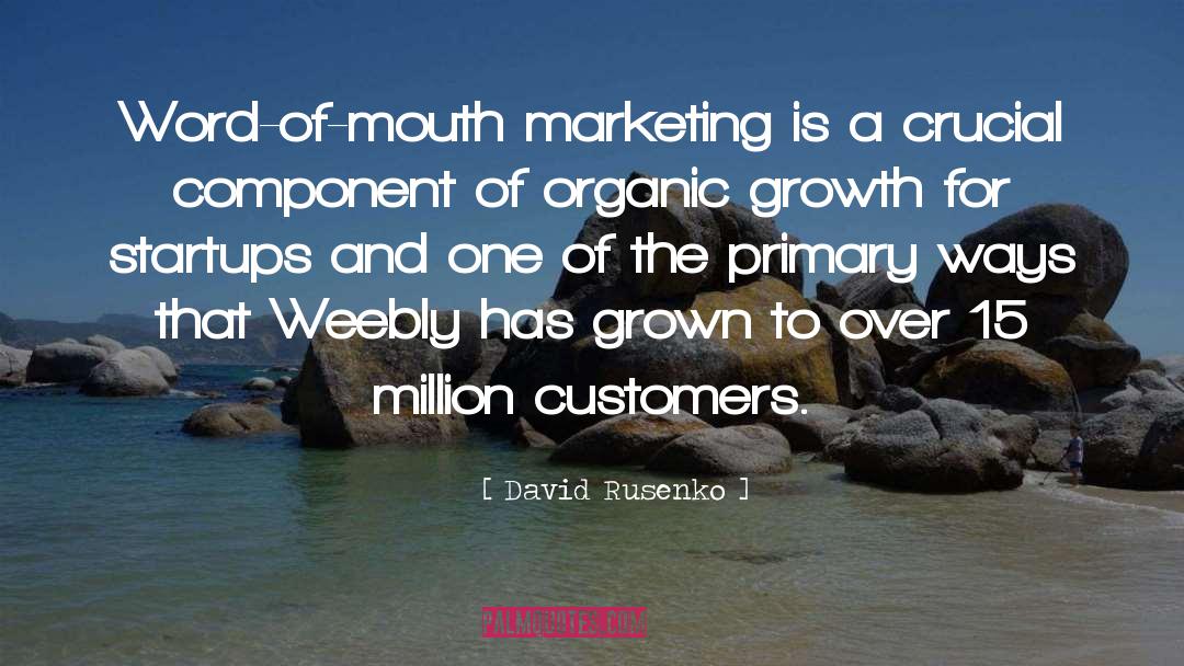 Startups quotes by David Rusenko