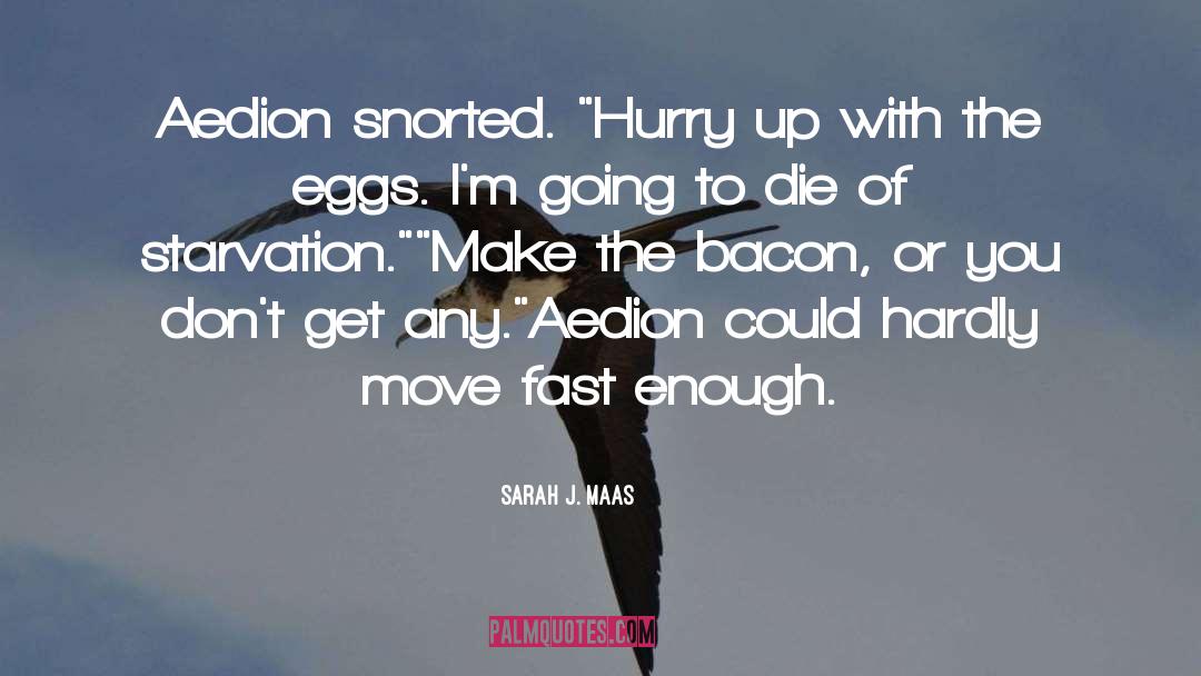 Starvation quotes by Sarah J. Maas