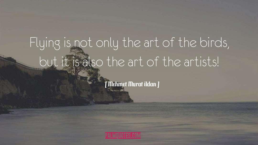 Starving Artists quotes by Mehmet Murat Ildan