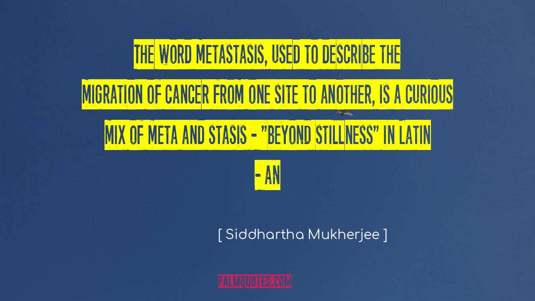 Stasis quotes by Siddhartha Mukherjee