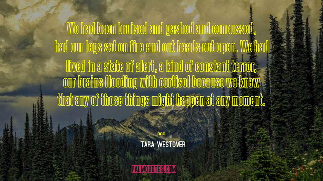 State Legislatures quotes by Tara Westover