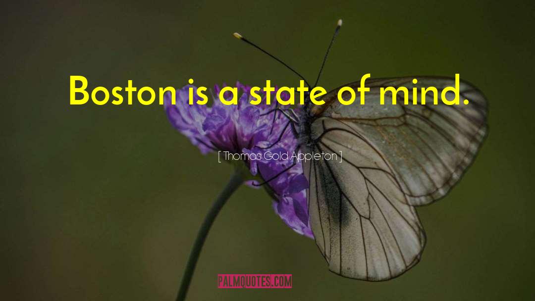 State Of Confusion quotes by Thomas Gold Appleton