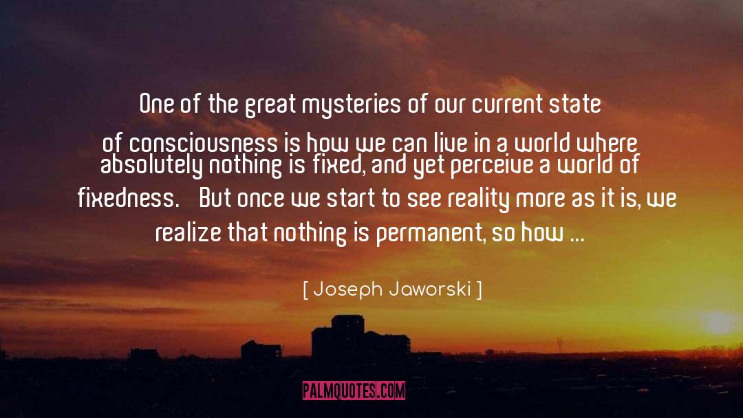 State Of Consciousness quotes by Joseph Jaworski