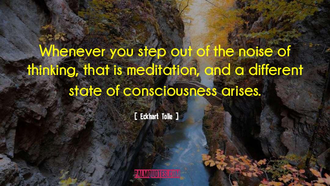 State Of Wonder quotes by Eckhart Tolle