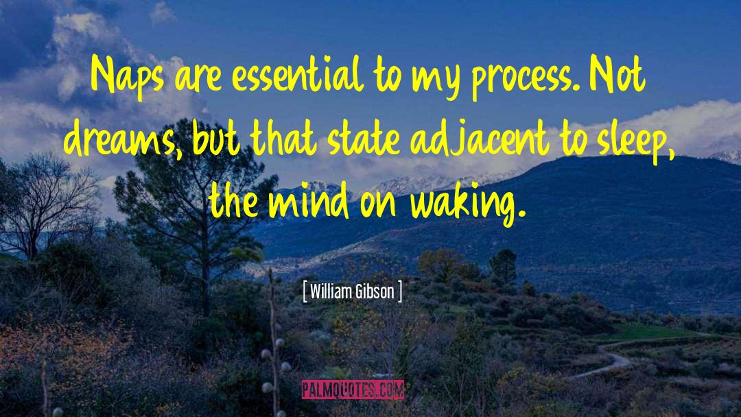 State Rights quotes by William Gibson