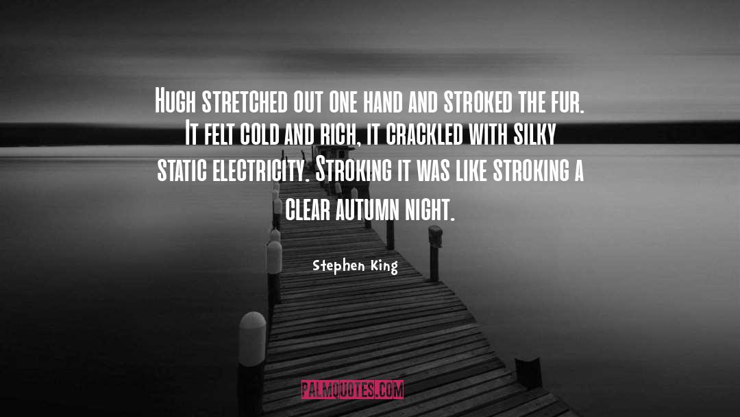 Static Electricity quotes by Stephen King