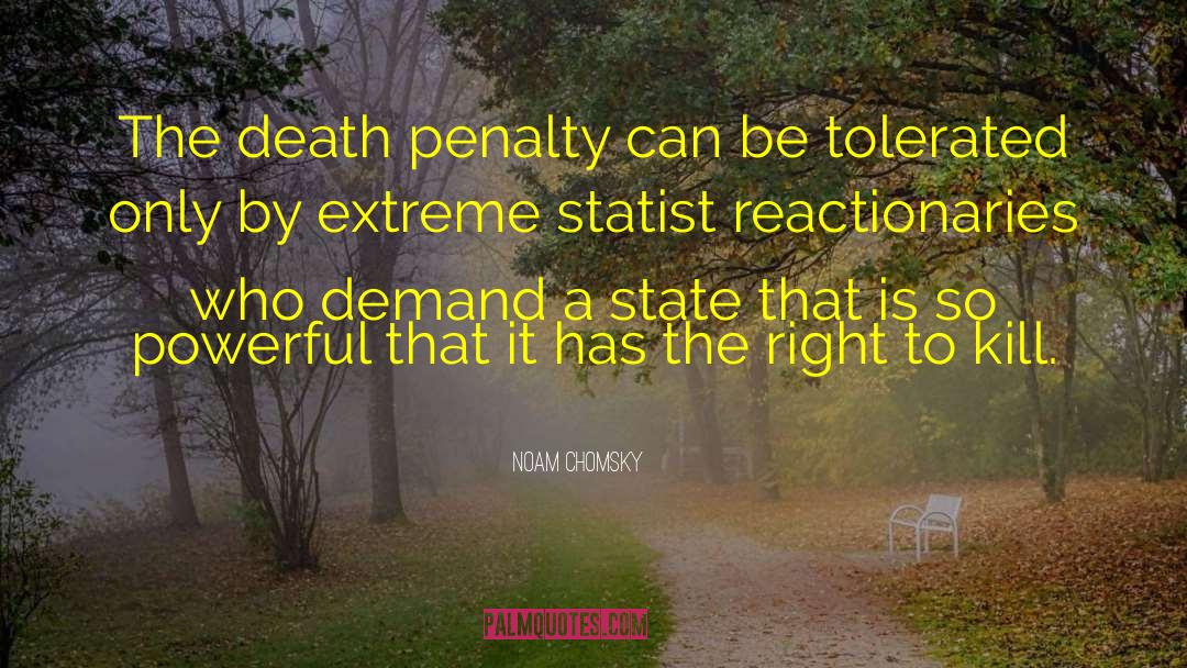 Statist quotes by Noam Chomsky