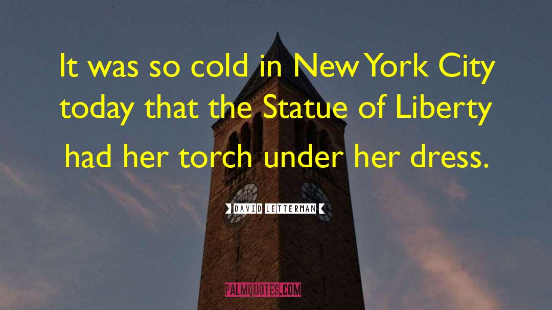 Statue Of Liberty quotes by David Letterman