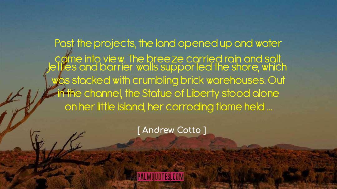 Statue Of Liberty View quotes by Andrew Cotto