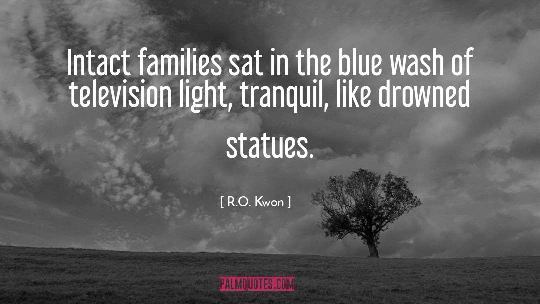 Statues quotes by R.O. Kwon