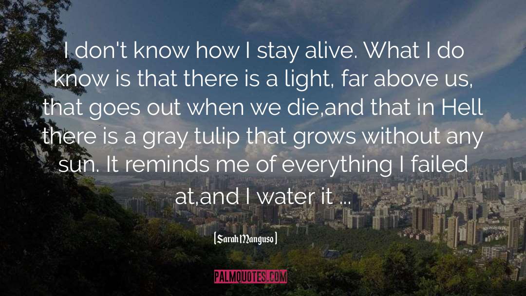 Stay Alive quotes by Sarah Manguso
