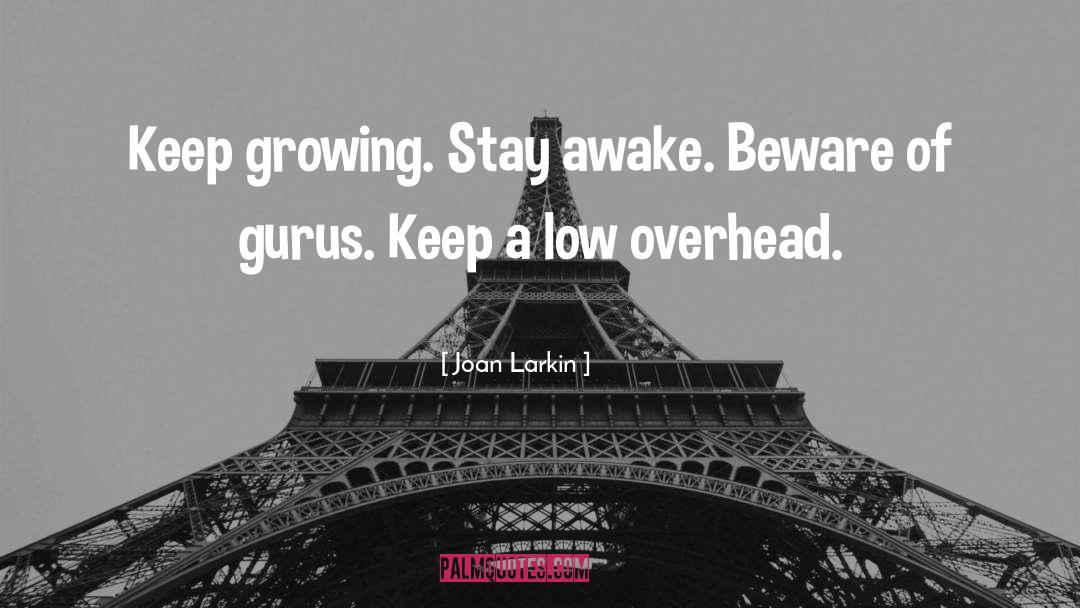 Stay Awake quotes by Joan Larkin