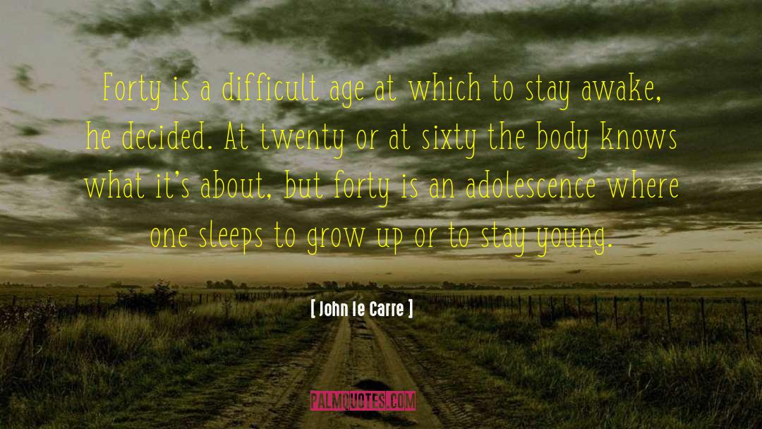 Stay Awake quotes by John Le Carre