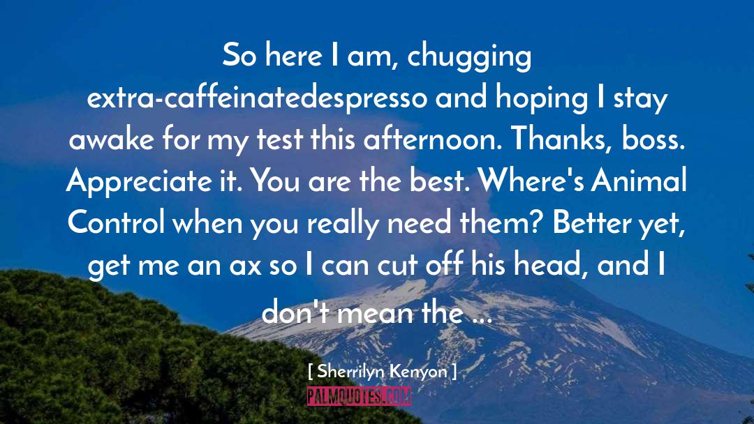 Stay Awake quotes by Sherrilyn Kenyon