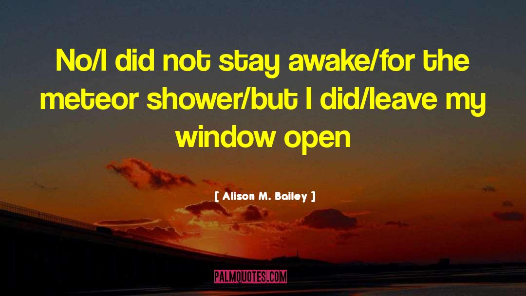 Stay Awake quotes by Alison M. Bailey