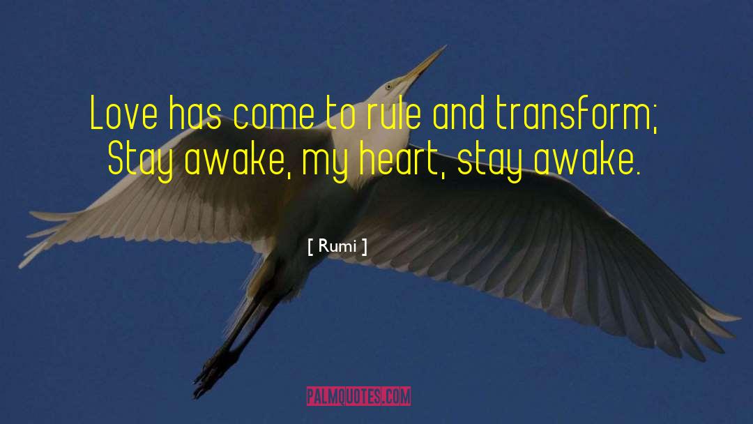 Stay Awake quotes by Rumi