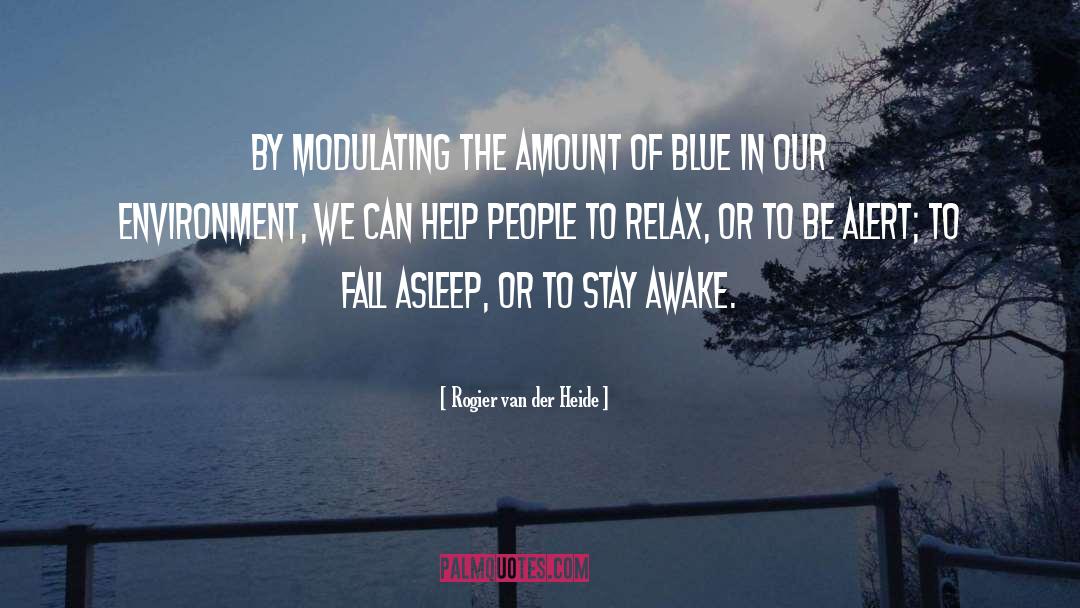 Stay Awake quotes by Rogier Van Der Heide