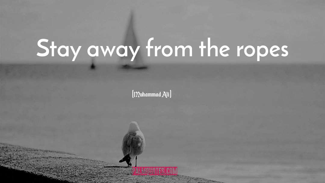 Stay Away From Sin quotes by Muhammad Ali