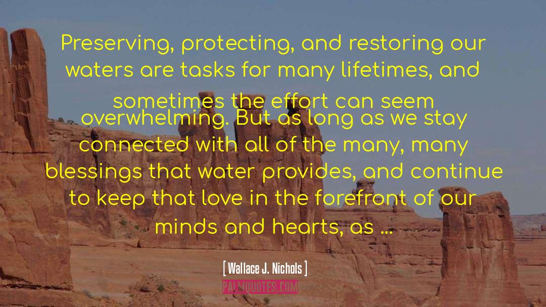 Stay Connected quotes by Wallace J. Nichols