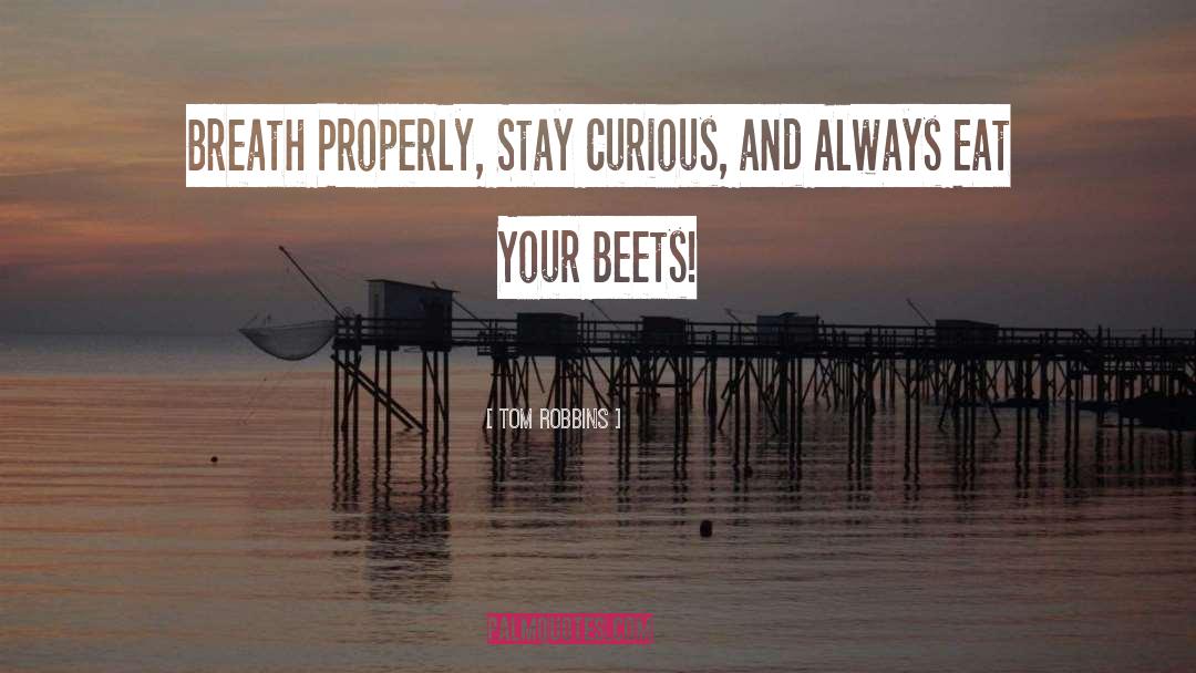 Stay Curious quotes by Tom Robbins