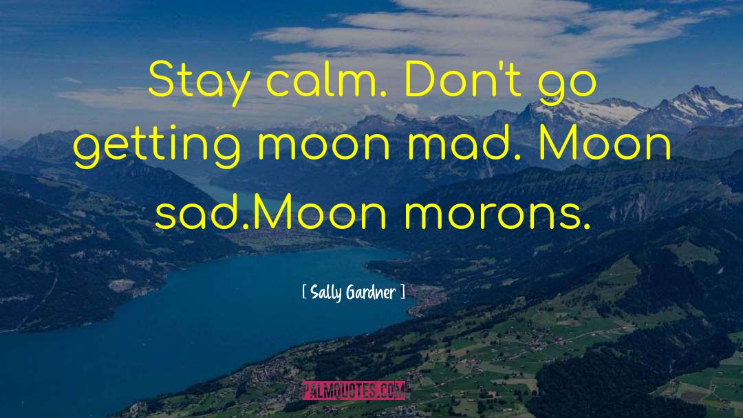 Stay Joyful quotes by Sally Gardner