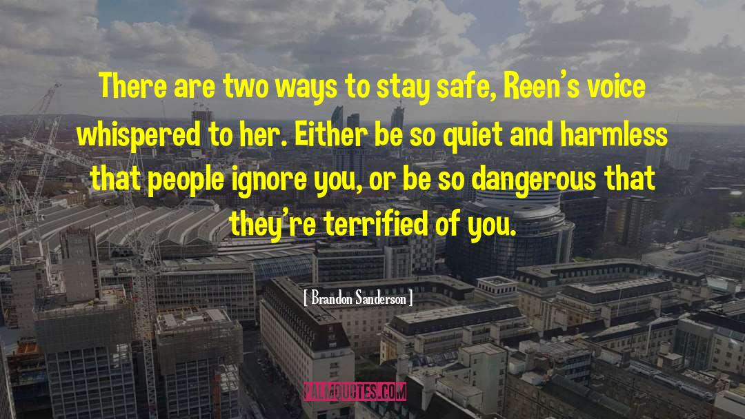 Stay Safe quotes by Brandon Sanderson