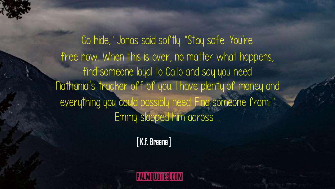 Stay Safe quotes by K.F. Breene