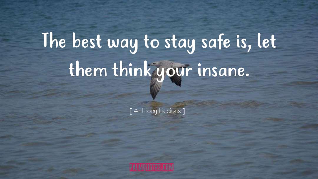 Stay Safe quotes by Anthony Liccione