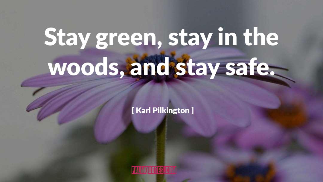 Stay Safe quotes by Karl Pilkington