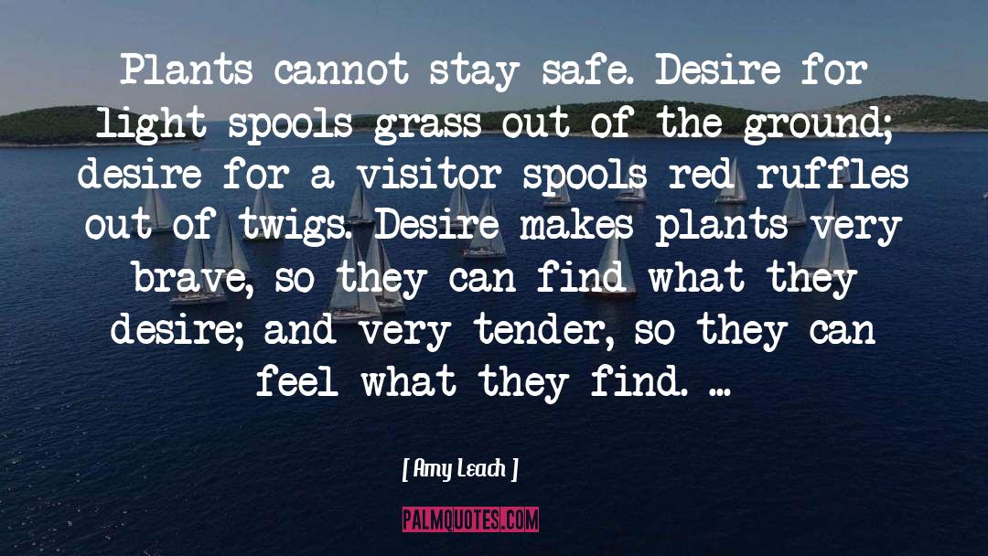 Stay Safe quotes by Amy Leach