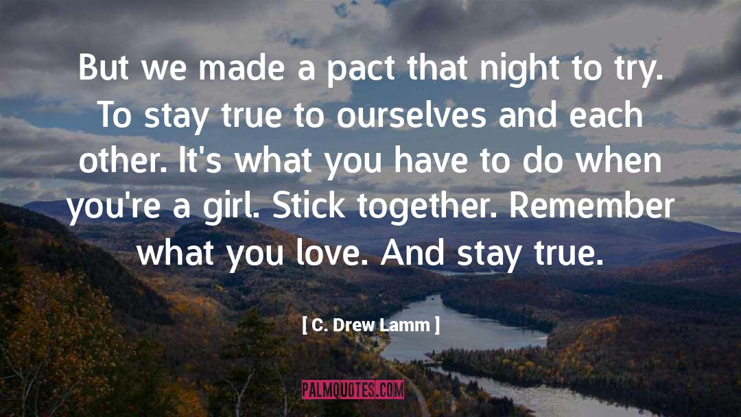 Stay True quotes by C. Drew Lamm