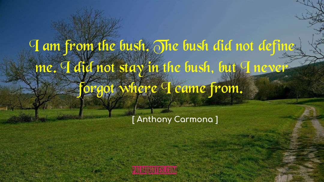 Stay Tuned quotes by Anthony Carmona