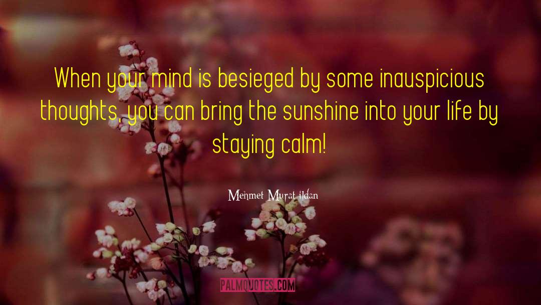 Staying Calm quotes by Mehmet Murat Ildan