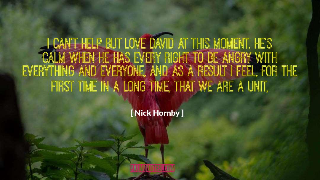 Staying Calm When Angry quotes by Nick Hornby