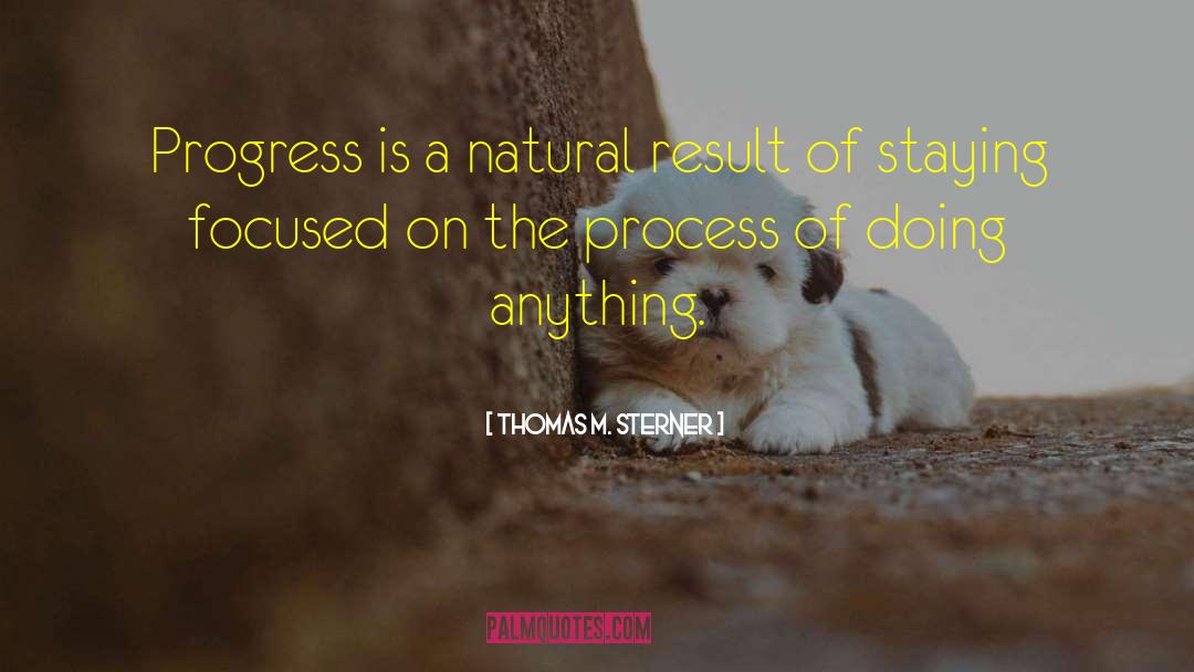 Staying Focused quotes by Thomas M. Sterner