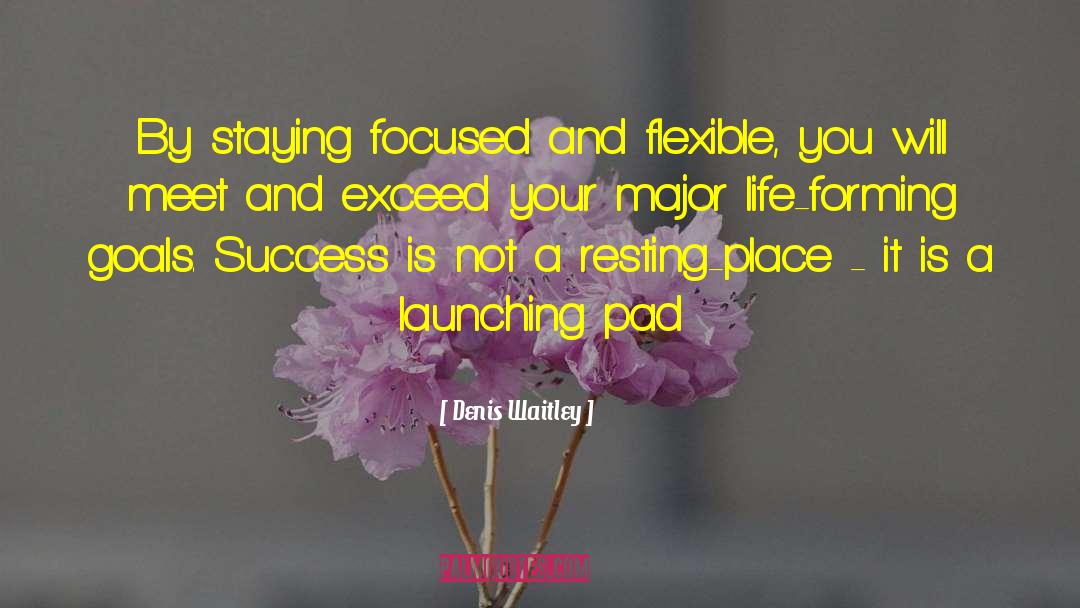 Staying Focused quotes by Denis Waitley